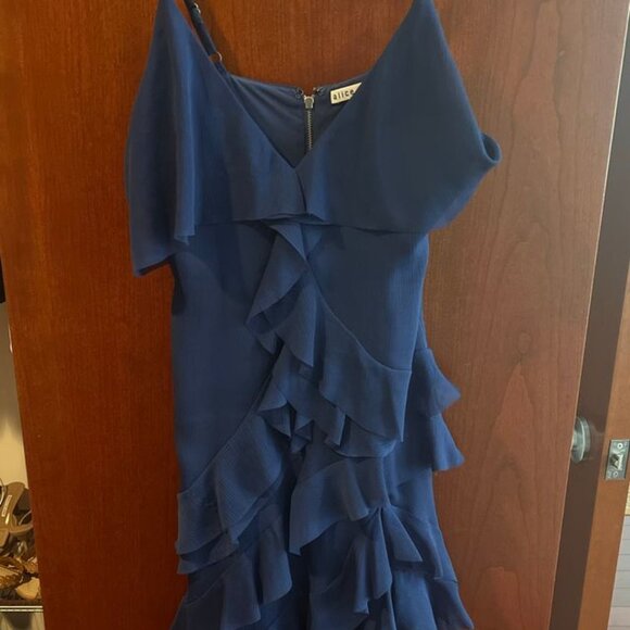 Alice + Olivia Short V neckline dress - Picture 3 of 5